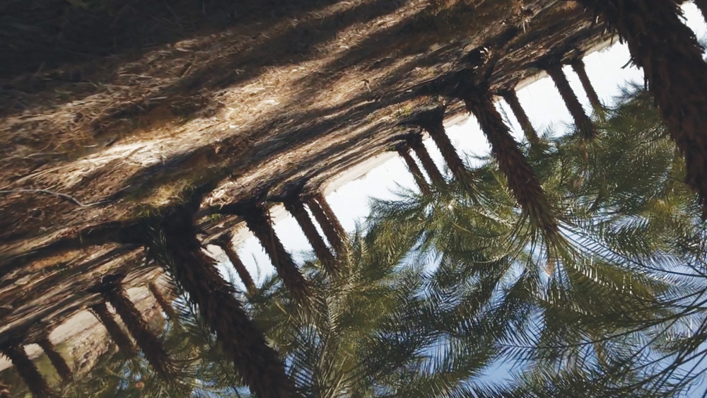 Rencontres Internationales in Nicosia